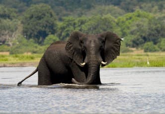 Day trips to Chobe and Victoria Falls from Katima Mulilo in Namibia