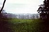 The water that thunders "Vic Falls"