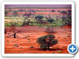 Sossusvlei after the rans