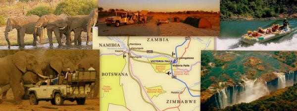 Combining geocaching with a wildlife safari