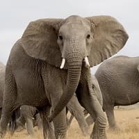 Safe affordable Namibia travel for small private groups
