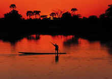 Explore the Okavango Delta 